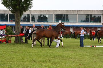 Bild 128 - Elmshorn am 9.6.10